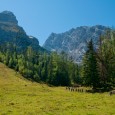 Du liebst die Naur, bist aber viel zu selten in deiner Freizeit dort? Bleibst am Wochenende immer Zuhause und wünscht dir dabei, mal etwas zu unternehmen, was für Spannung und […]